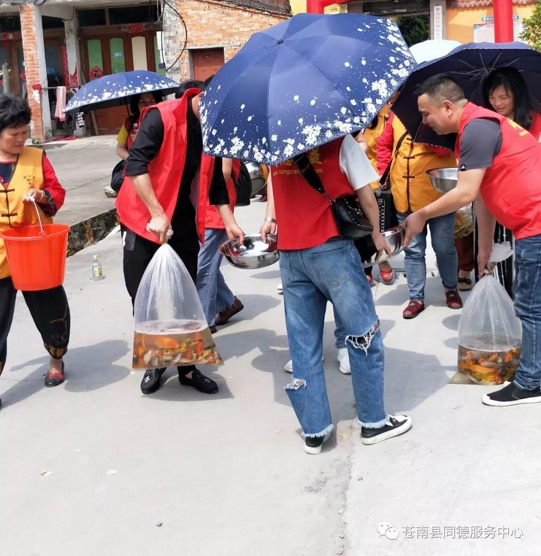 苍南县同徳公益服务中心携手护法寺慈善功德会开展“小鱼治水”放生活动